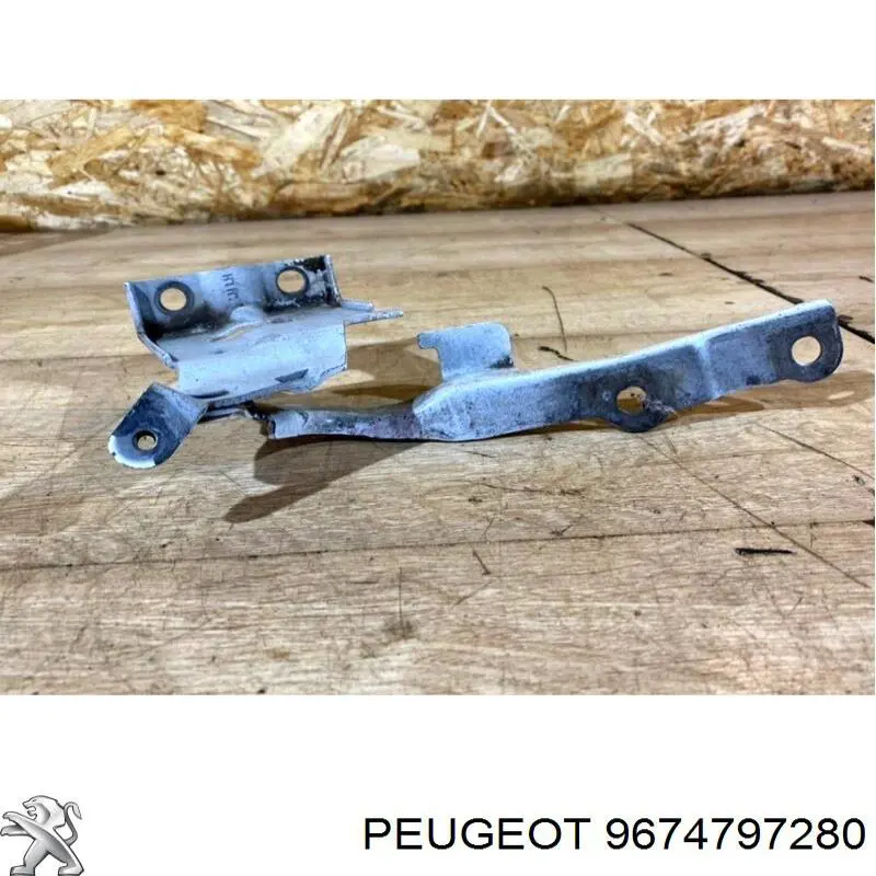 Bisagra izquierda del capó Peugeot/Citroen 9674797280 precio, desde 11,28 EUR