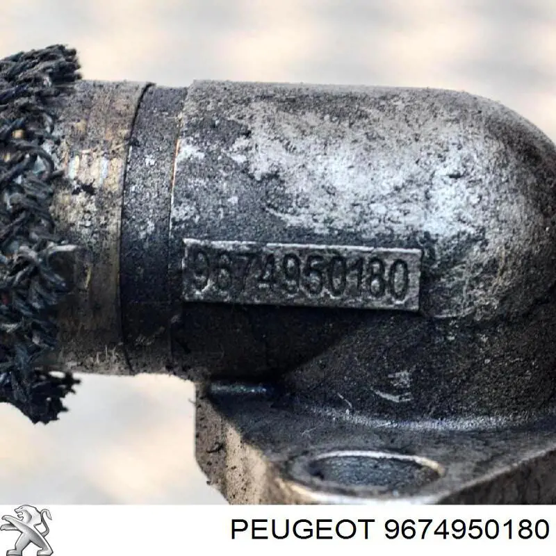  9674950180 Peugeot/Citroen