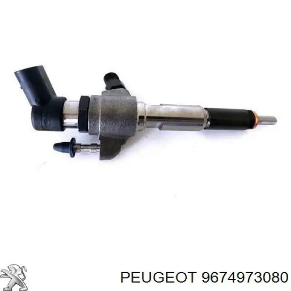 9674973080 Peugeot/Citroen inyector