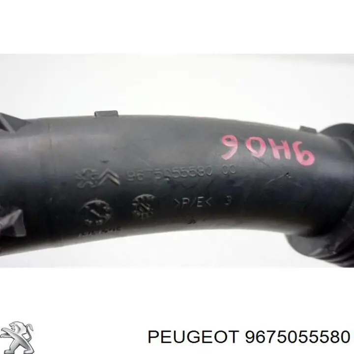  9675055580 Peugeot/Citroen