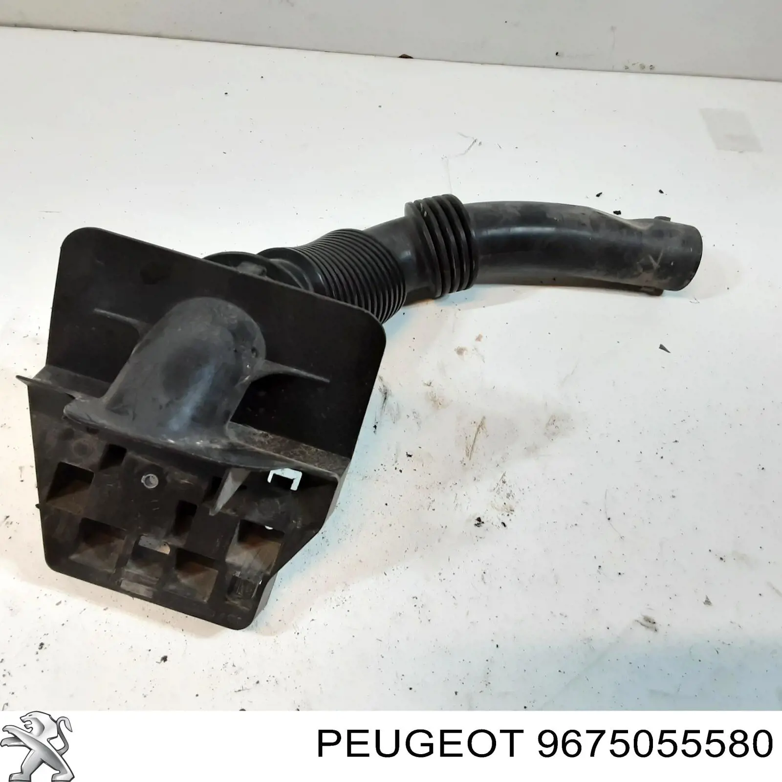 Comprar 9675055580 Peugeot/Citroen 