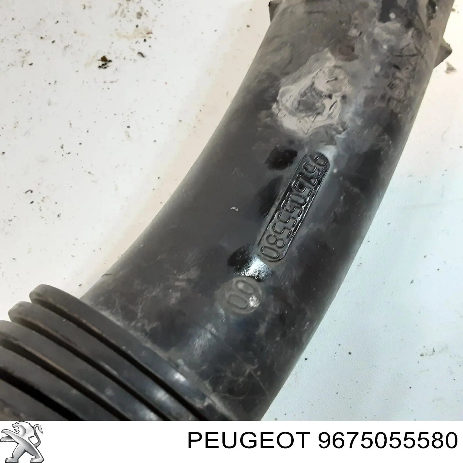 9675055580 Peugeot/Citroen 