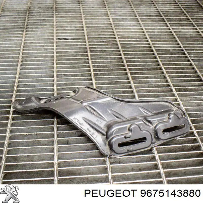 Comprar 9675143880 Peugeot/Citroen 