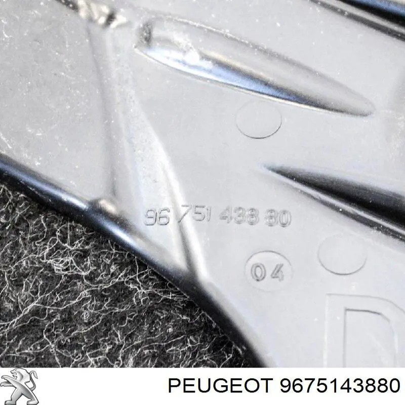 9675143880 Peugeot/Citroen