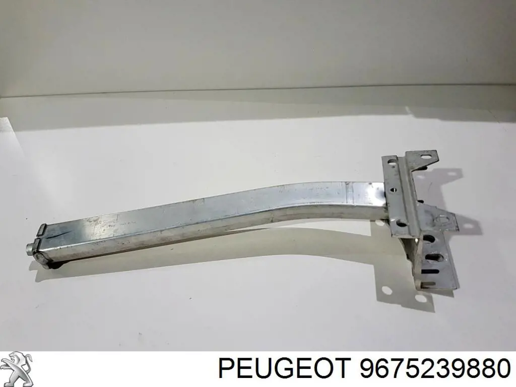 9830026080 Peugeot/Citroen 