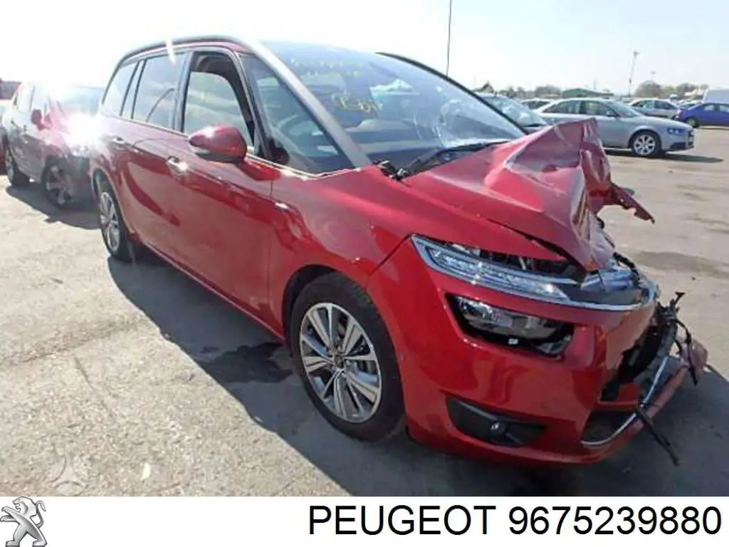 Comprar 9830026080 Peugeot/Citroen 