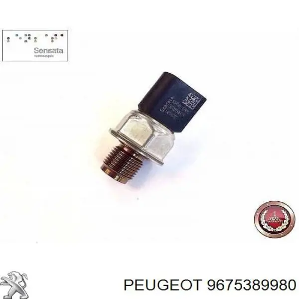 Comprar 9675389980 Peugeot/Citroen Rampa de combustible