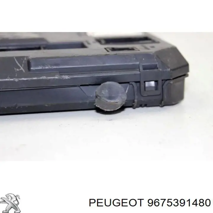 Comprar 9675391480 Peugeot/Citroen 