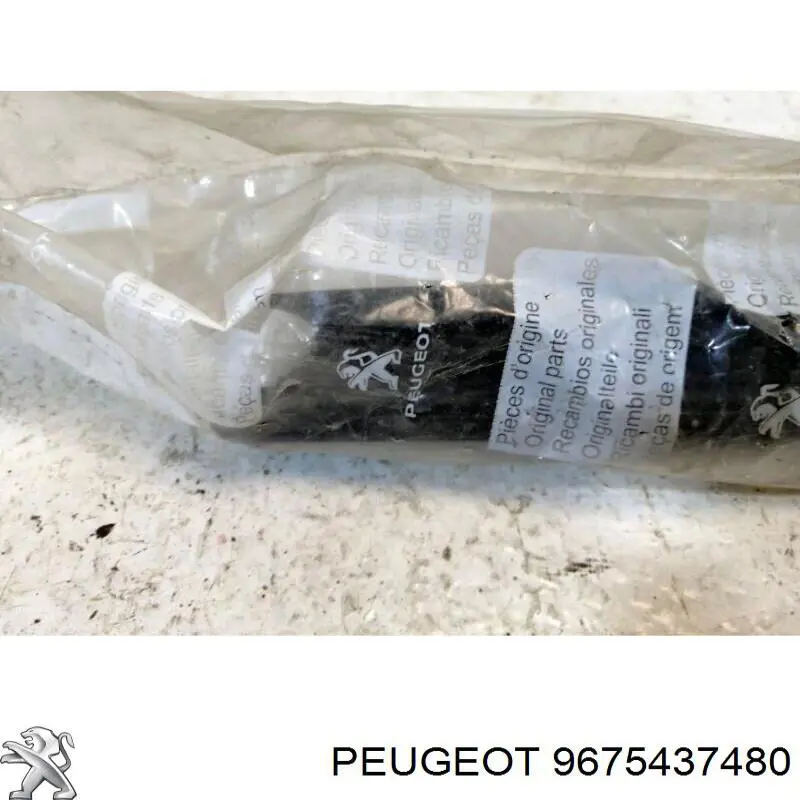 9675437480 Peugeot/Citroen 