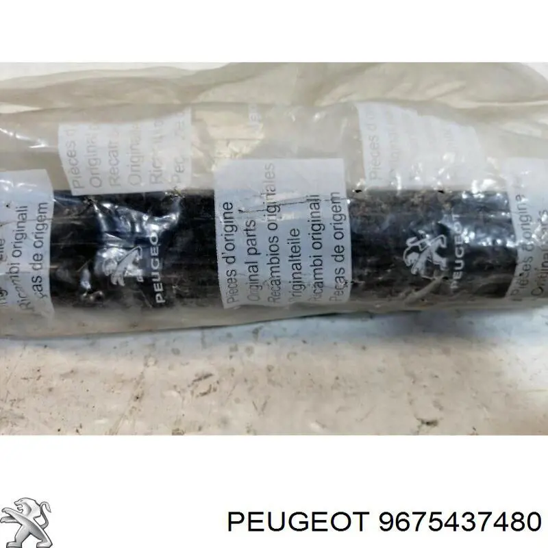 Comprar 9675437480 Peugeot/Citroen 