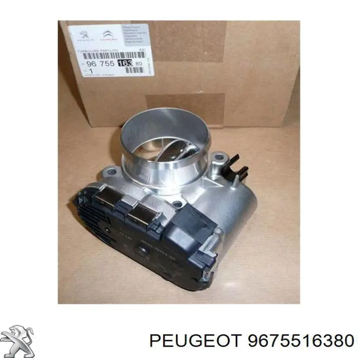 Cuerpo de aceleración completo Peugeot/Citroen 9675516380 precio, desde 122,09 EUR