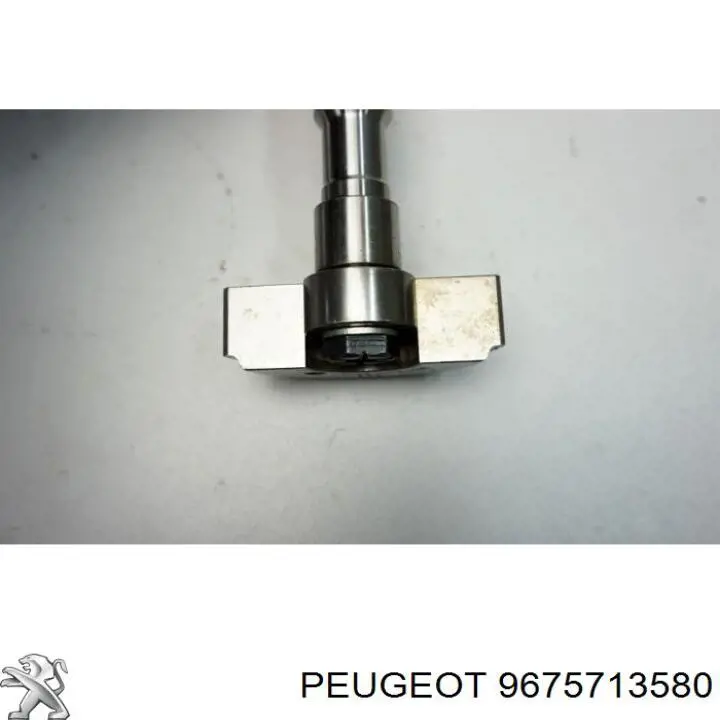 9675713580 Peugeot/Citroen 