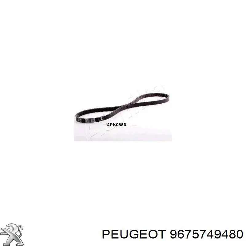 Correa de transmisión trapezoidal Peugeot/Citroen 9675749480 precio, desde 10,75 EUR