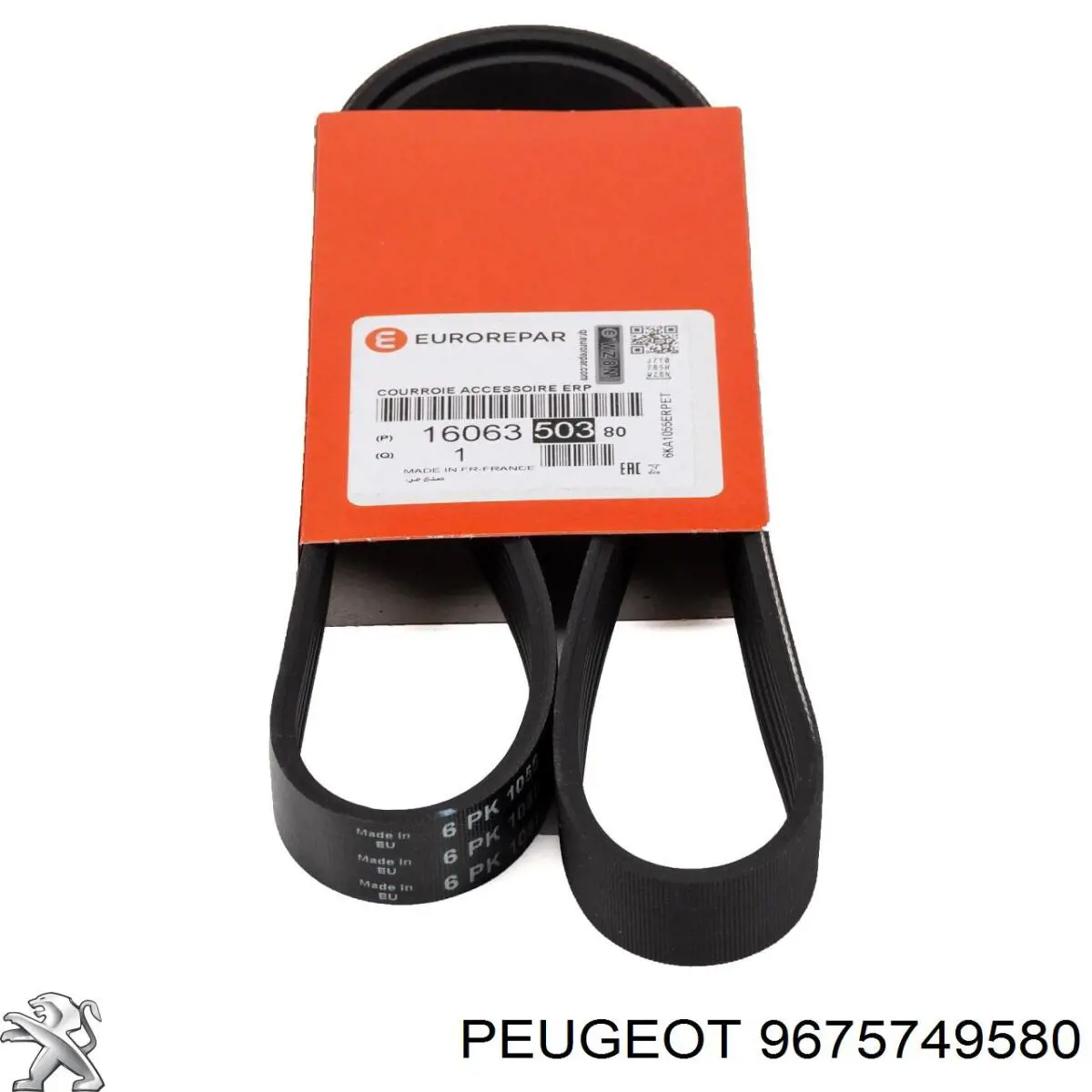 9675749580 Peugeot/Citroen correa trapezoidal