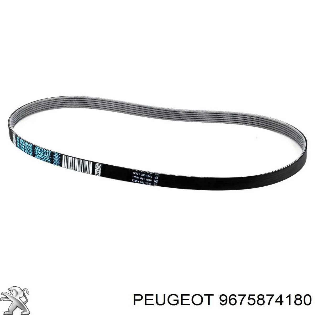 33104791 Swag Correa poly v