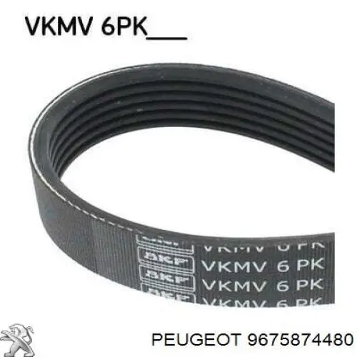 Correa de transmisión trapezoidal Peugeot/Citroen 9675874480 precio, desde 11,54 EUR