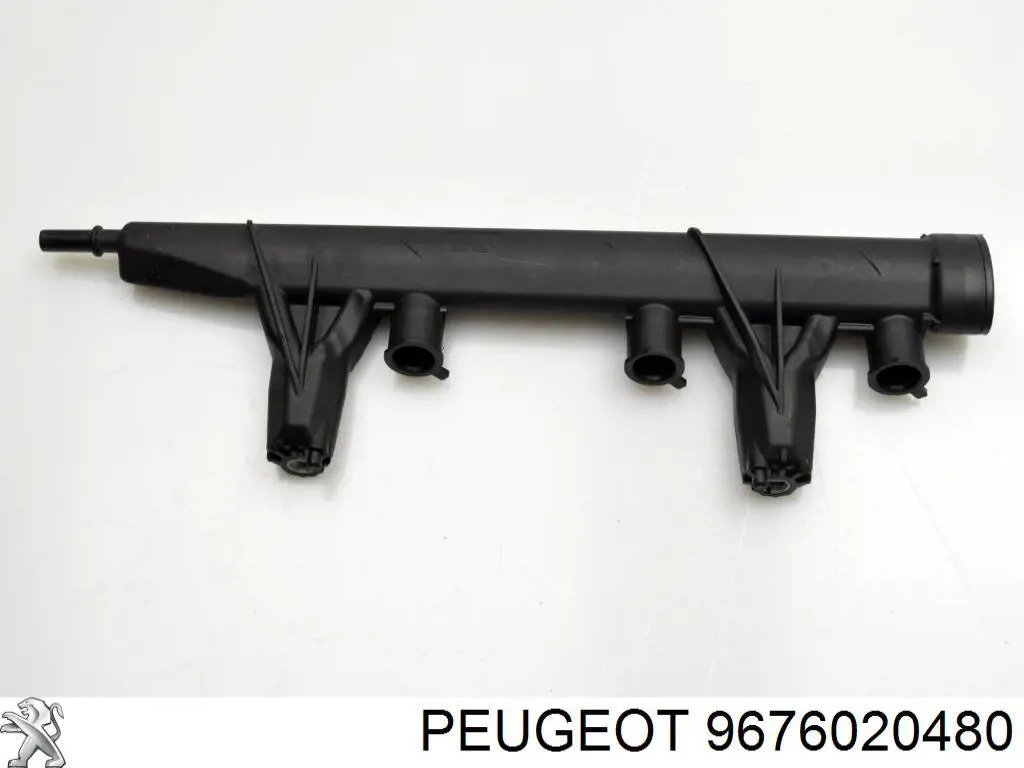 9676020480 Peugeot/Citroen rampa de inyectores
