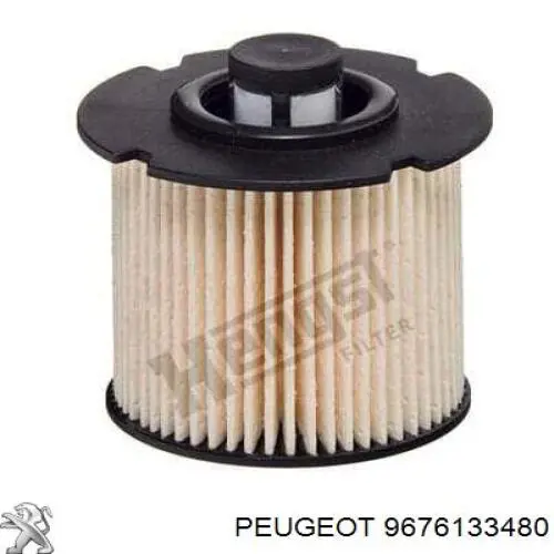 9676133480 Peugeot/Citroen caja, filtro de combustible