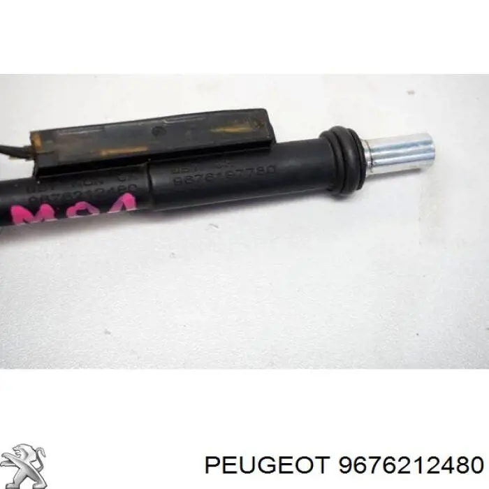 9676212480 Peugeot/Citroen 
