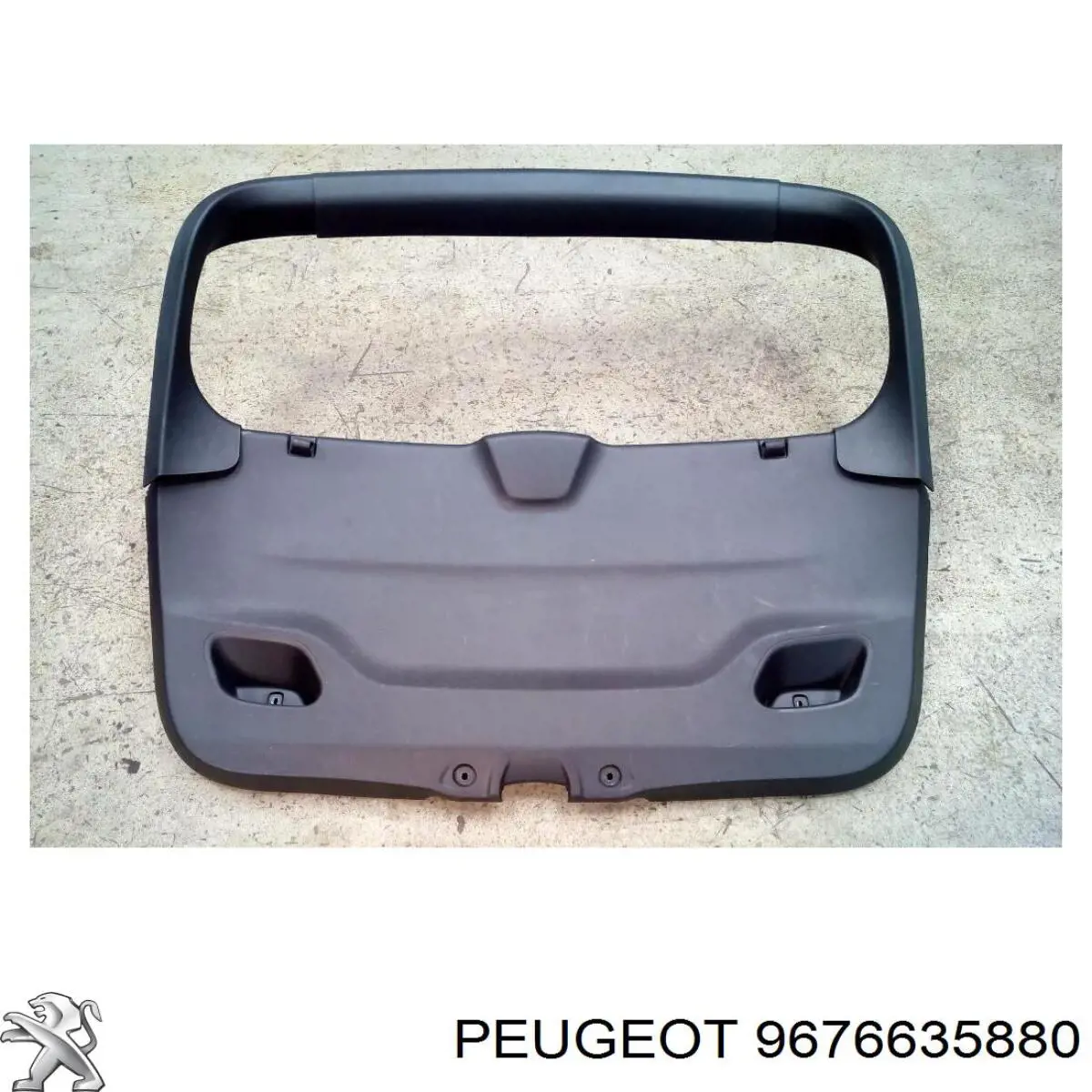 9676635880 Peugeot/Citroen amortiguador delantero izquierdo