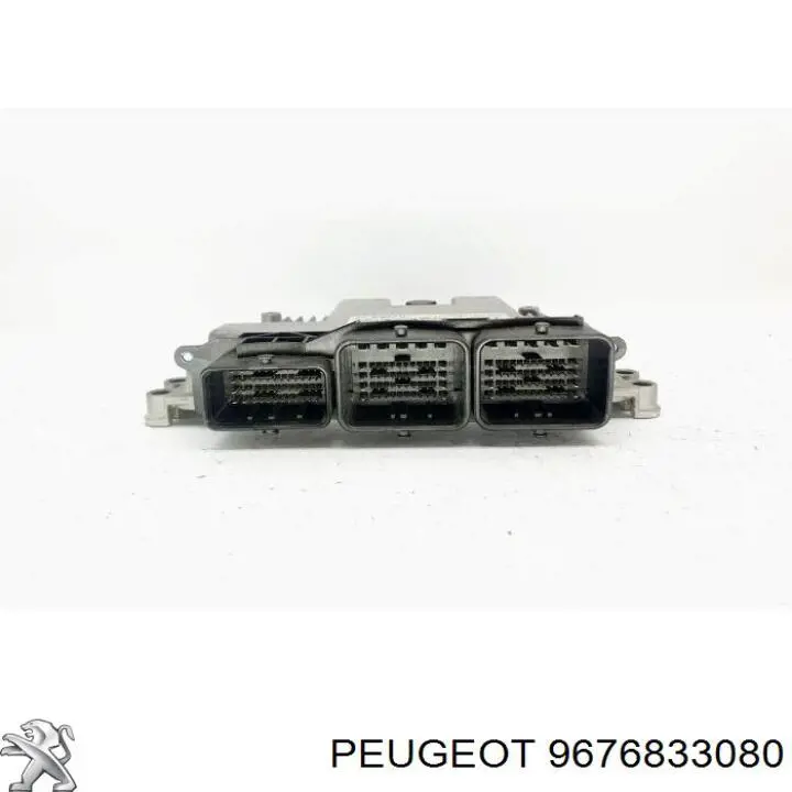 9676833080 Peugeot/Citroen