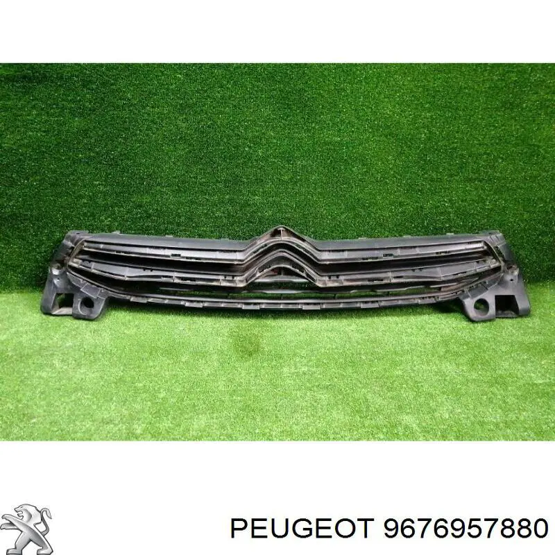 Rejilla delantera Peugeot/Citroen 9676957880 precio, desde 99,26 EUR