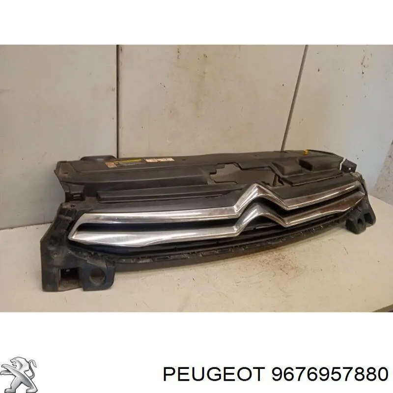 9676957880 Peugeot/Citroen rejilla de radiador