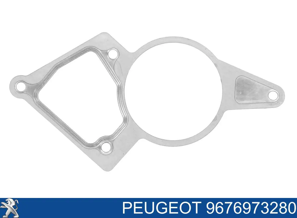 9676973280 Peugeot/Citroen Junta de la bomba de vacío