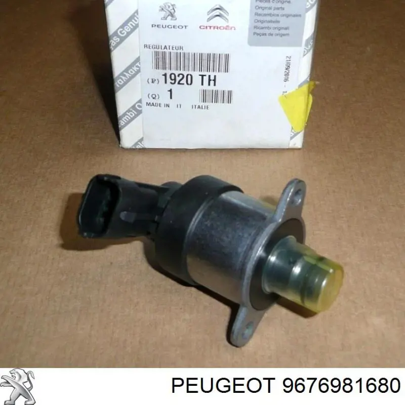 9676981680 Peugeot/Citroen