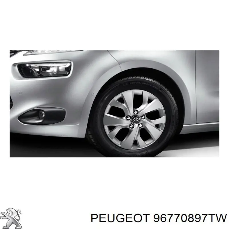 96770897TW Peugeot/Citroen Aros