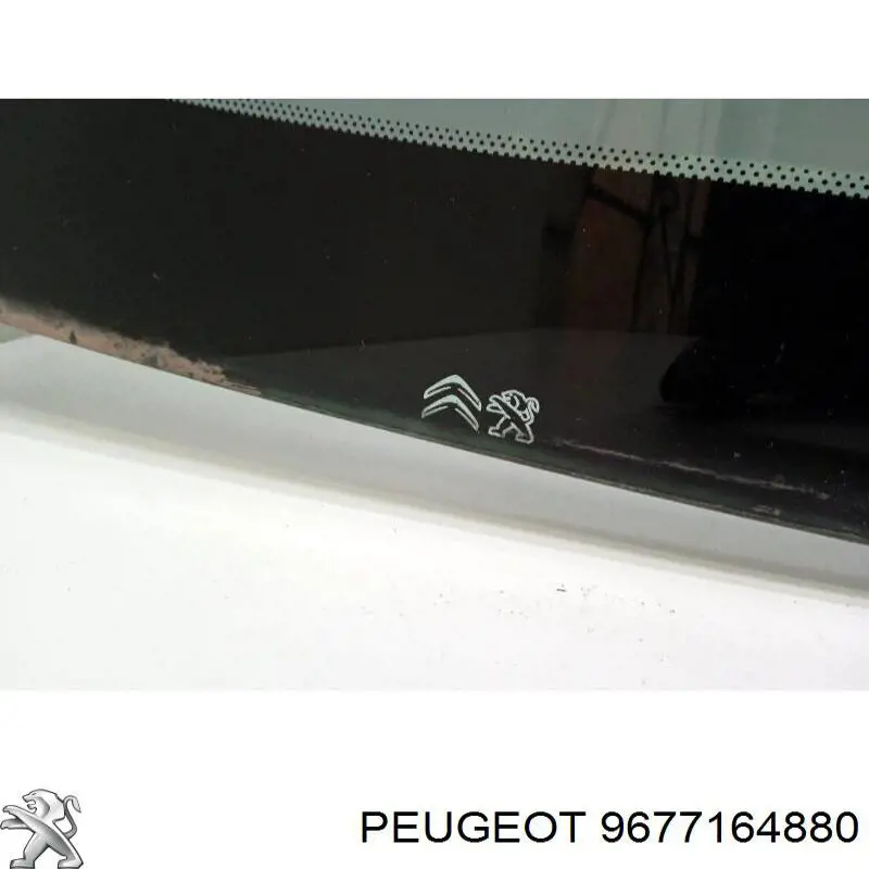 Comprar 9677164880 Peugeot/Citroen Luna trasera