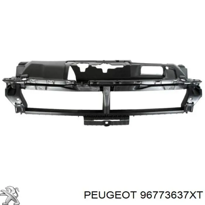 96773637XT Peugeot/Citroen Protector de cerradura del capó
