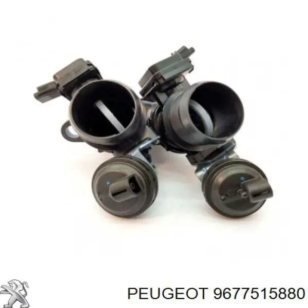 Cuerpo de aceleración completo Peugeot/Citroen 9677515880 precio, desde 302,14 EUR