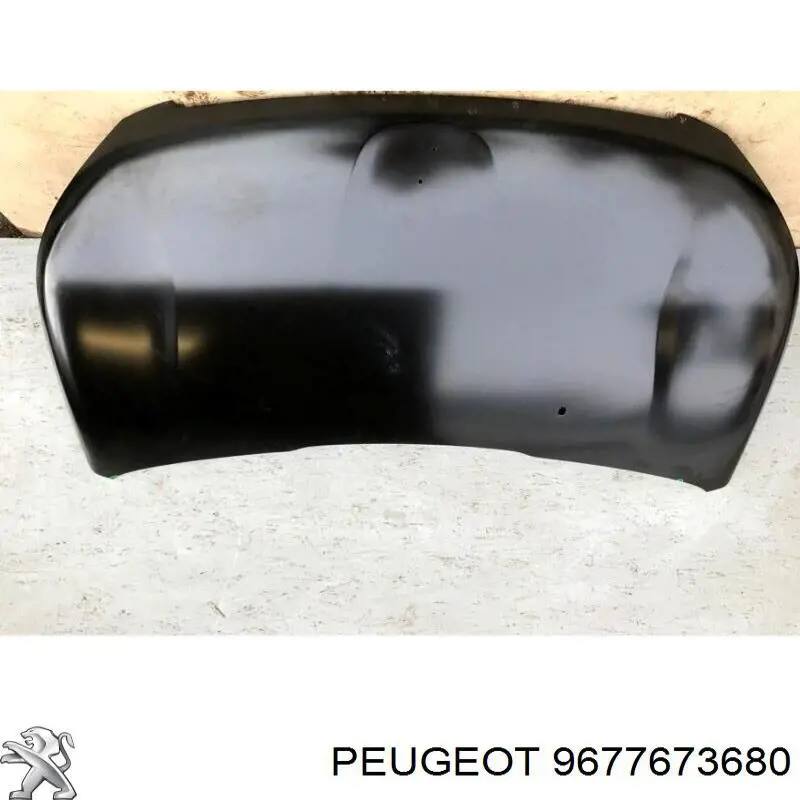 Comprar 9677673680 Peugeot/Citroen Capó