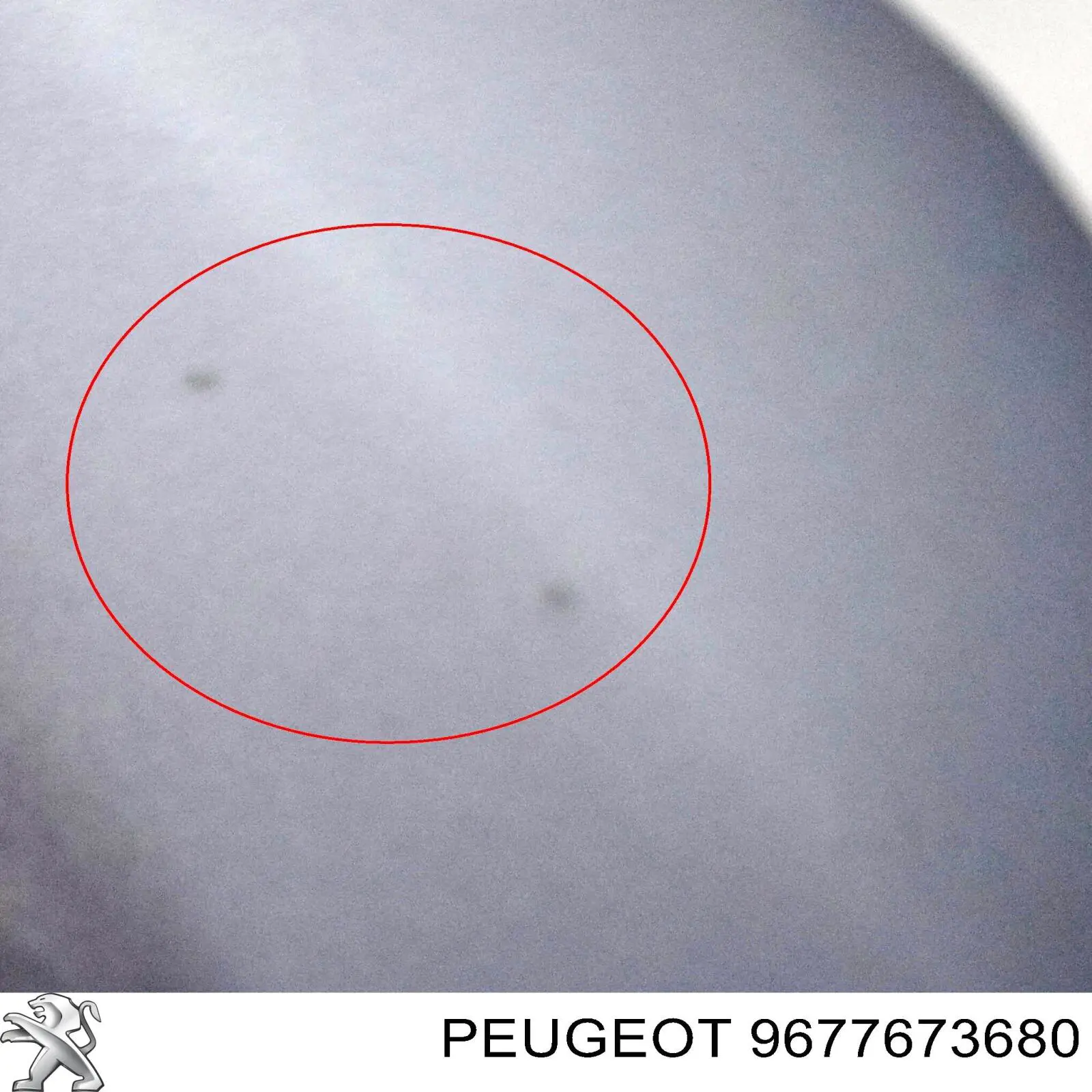 9677673680 Peugeot/Citroen Capó delantero