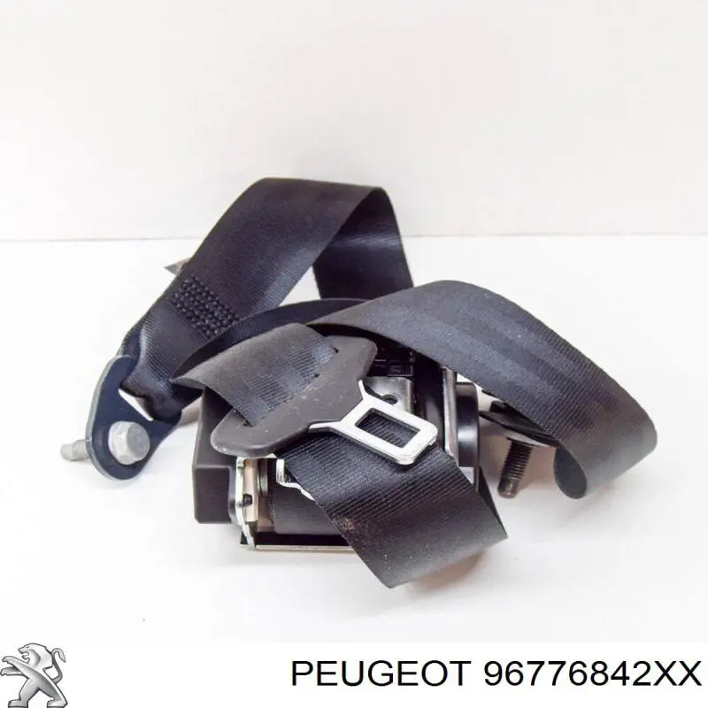 96776842XX Peugeot/Citroen