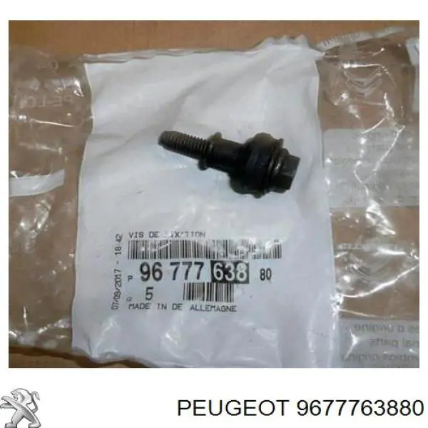 9677763880 Peugeot/Citroen 