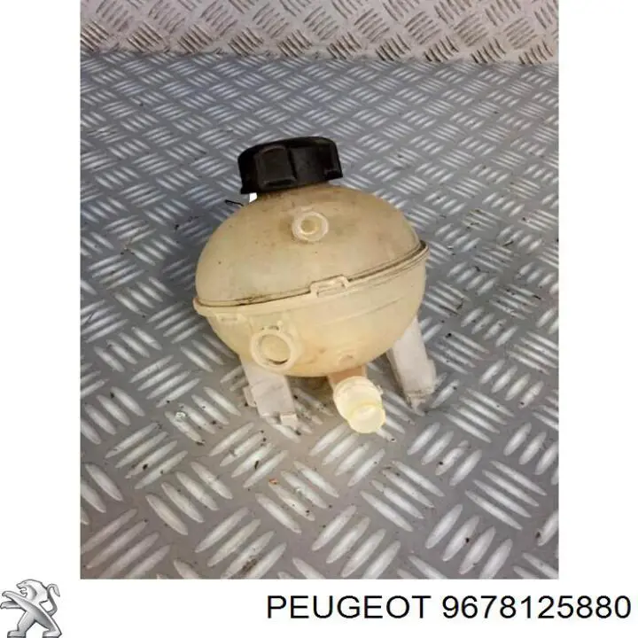 Botella expansion Peugeot/Citroen 9678125880 precio, desde 33,97 EUR