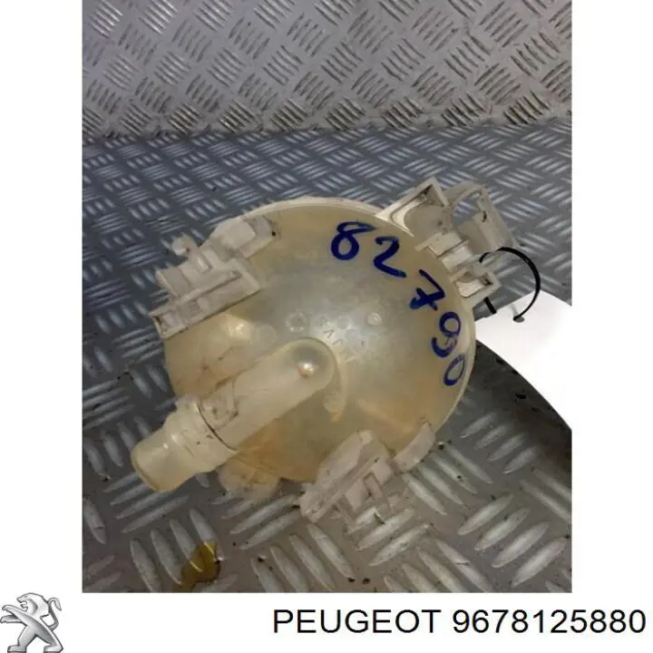 Comprar 9678125880 Peugeot/Citroen Deposito expansion