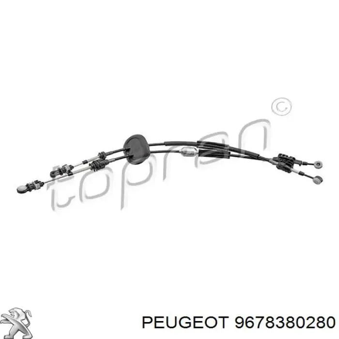 9810550980 Peugeot/Citroen palanca de cambios