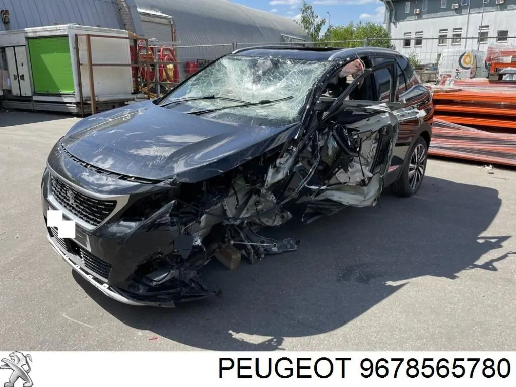 9678565780 Peugeot/Citroen