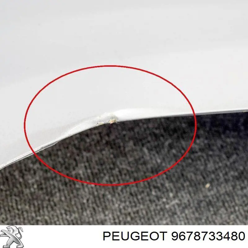 9678733480 Peugeot/Citroen Aleta delantera izquierda