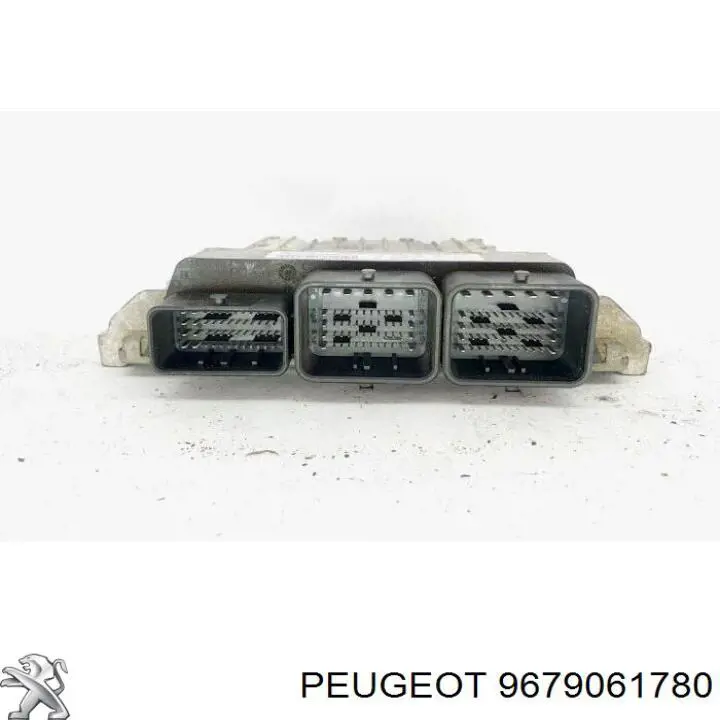 9679061780 Peugeot/Citroen