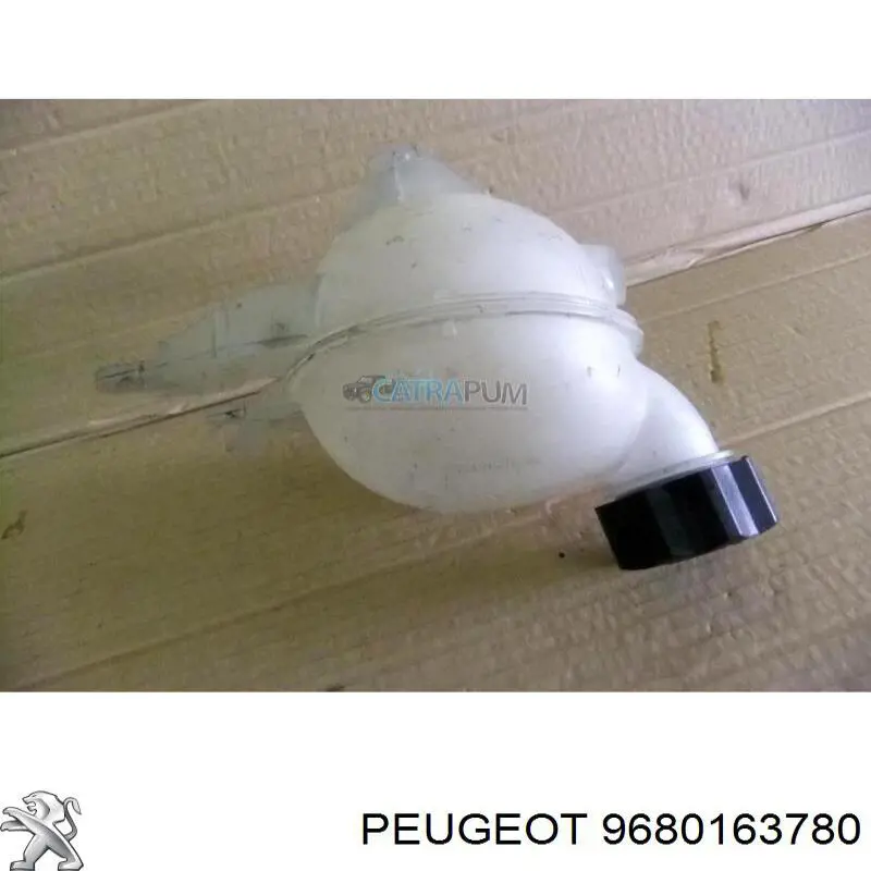 9680163780 Peugeot/Citroen 