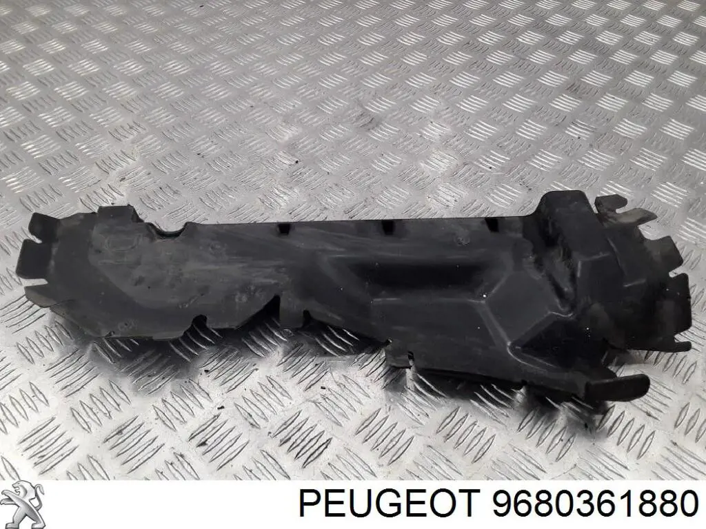 9680361880 Peugeot/Citroen