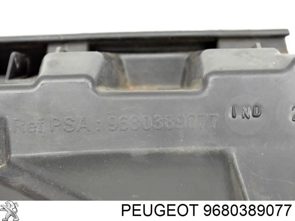  Peugeot/Citroen 9680389077 precio, desde 165,53 EUR