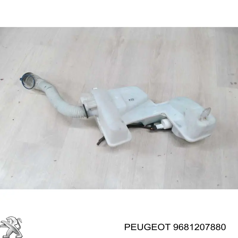 9681207880 Peugeot/Citroen 