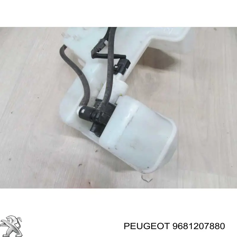  Peugeot/Citroen 9681207880 precio, desde 28,74 EUR