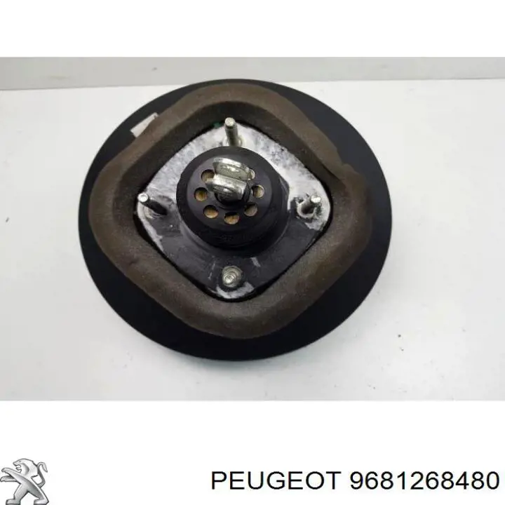Servofreno Peugeot/Citroen 9681268480 precio, desde 52,27 EUR