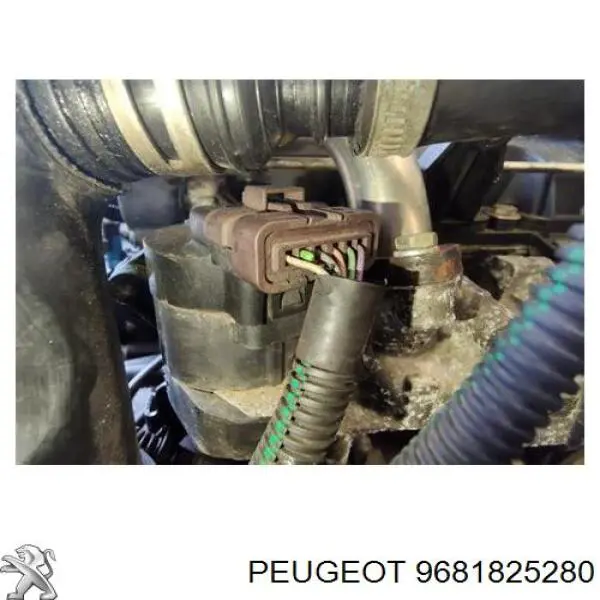 9681825280 Peugeot/Citroen válvula egr
